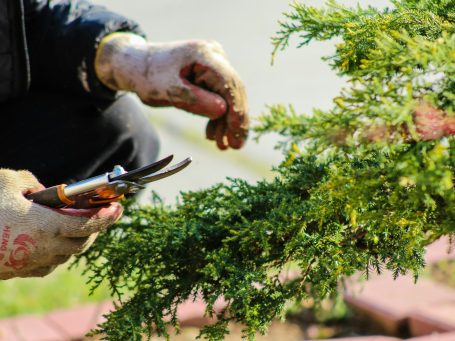 heckenpflege-burgstaedt.de